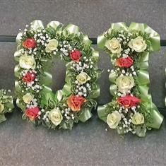 Named Tribute - SOLDIER