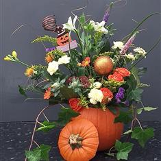 Pumpkin3