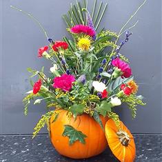 Pumpkin4