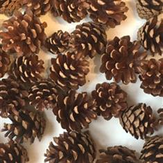 Florist Choice Christmas Wreath - Traditional