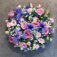 MD Violet