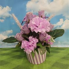 Syringa