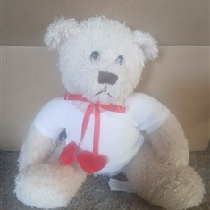 White Teddy Bear