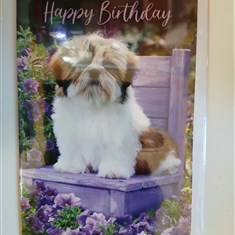 Birthday Card10