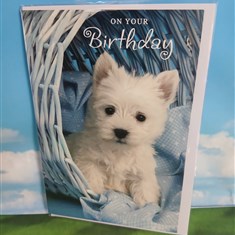 Birthday Card12