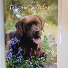 Birthday Card13