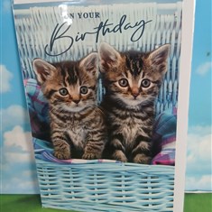 Birthday Card14
