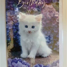 Birthday Card15