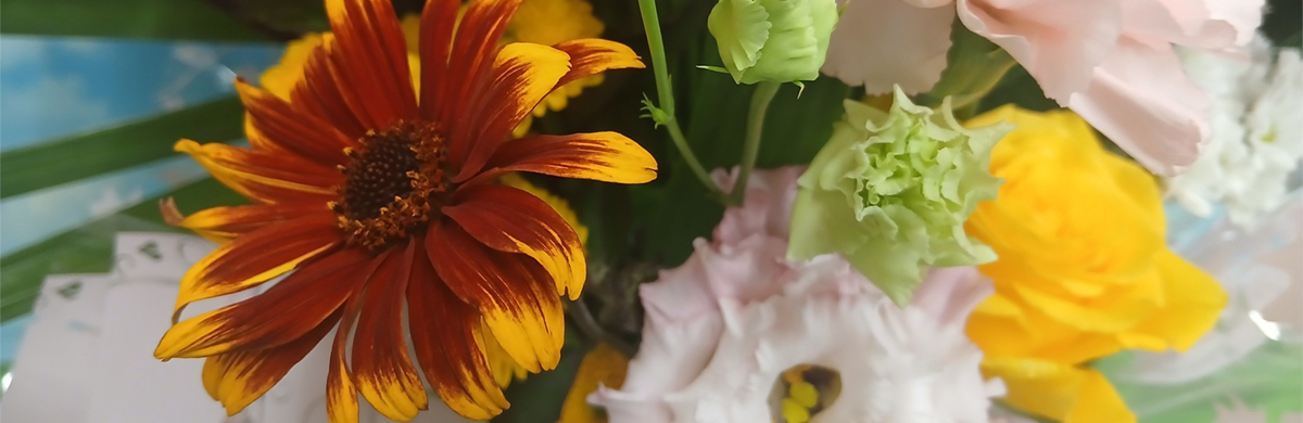 Anita's Blossoming Flowers & Gifts best sellers