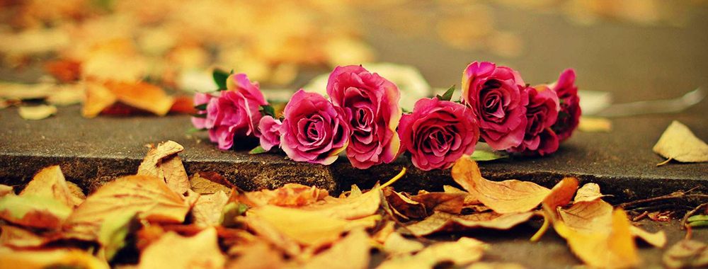 Anita's Blossoming Flowers & Gifts